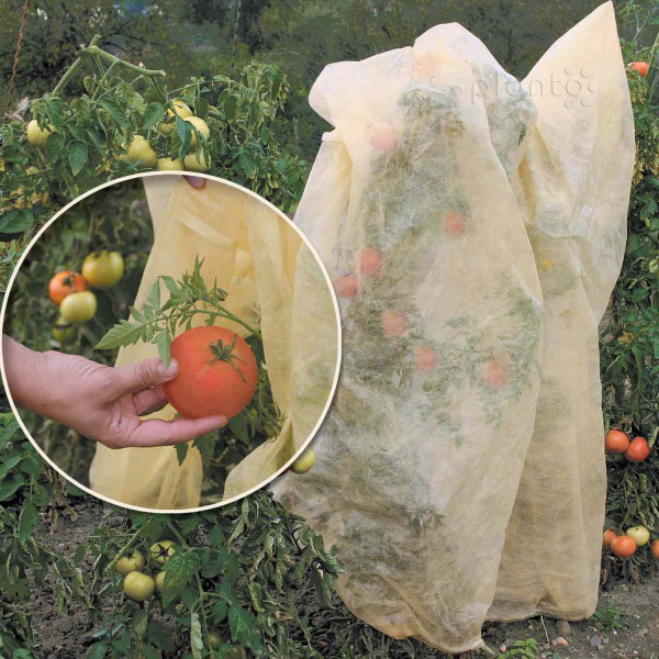 Bio Tomaten Reifevlies, Schlauchware "planto pro"